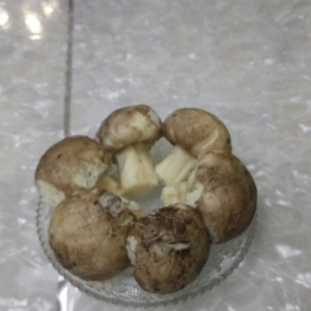 蘑菇包