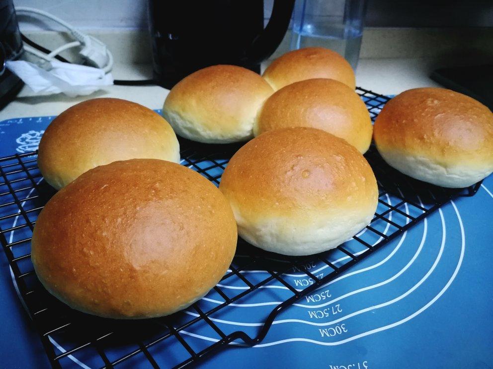 汉堡胚 poolish（波兰种）