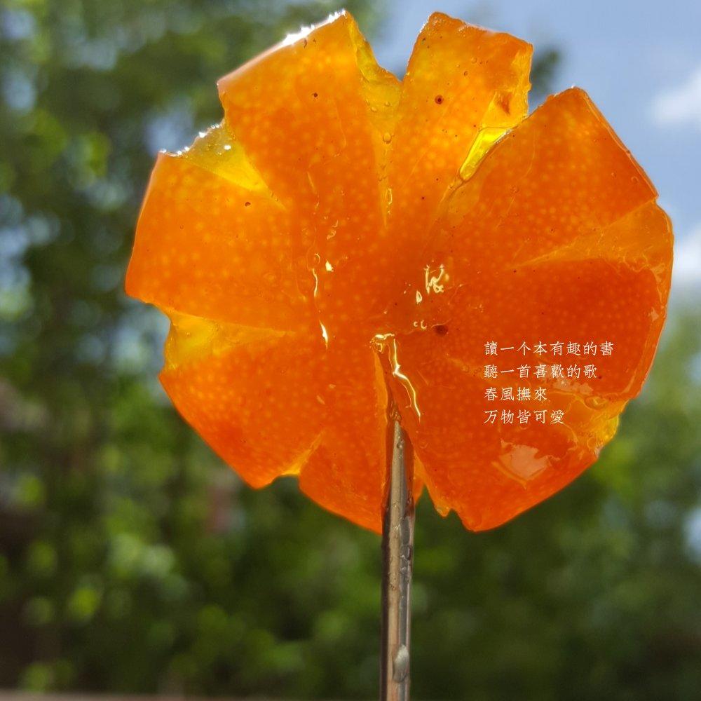 蜜金桔