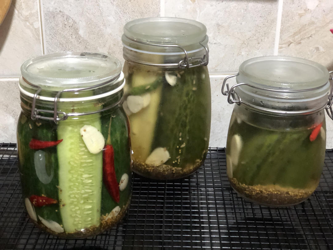 【健康泡菜】美式酸黄瓜Dill pickles