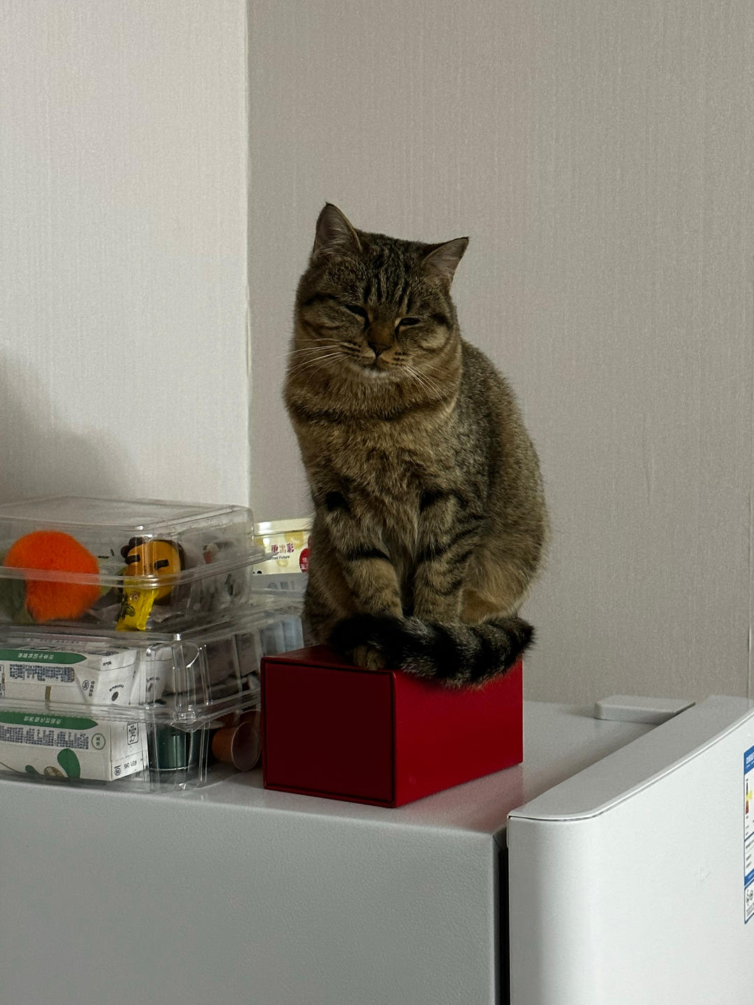 别做饭了点外卖吧