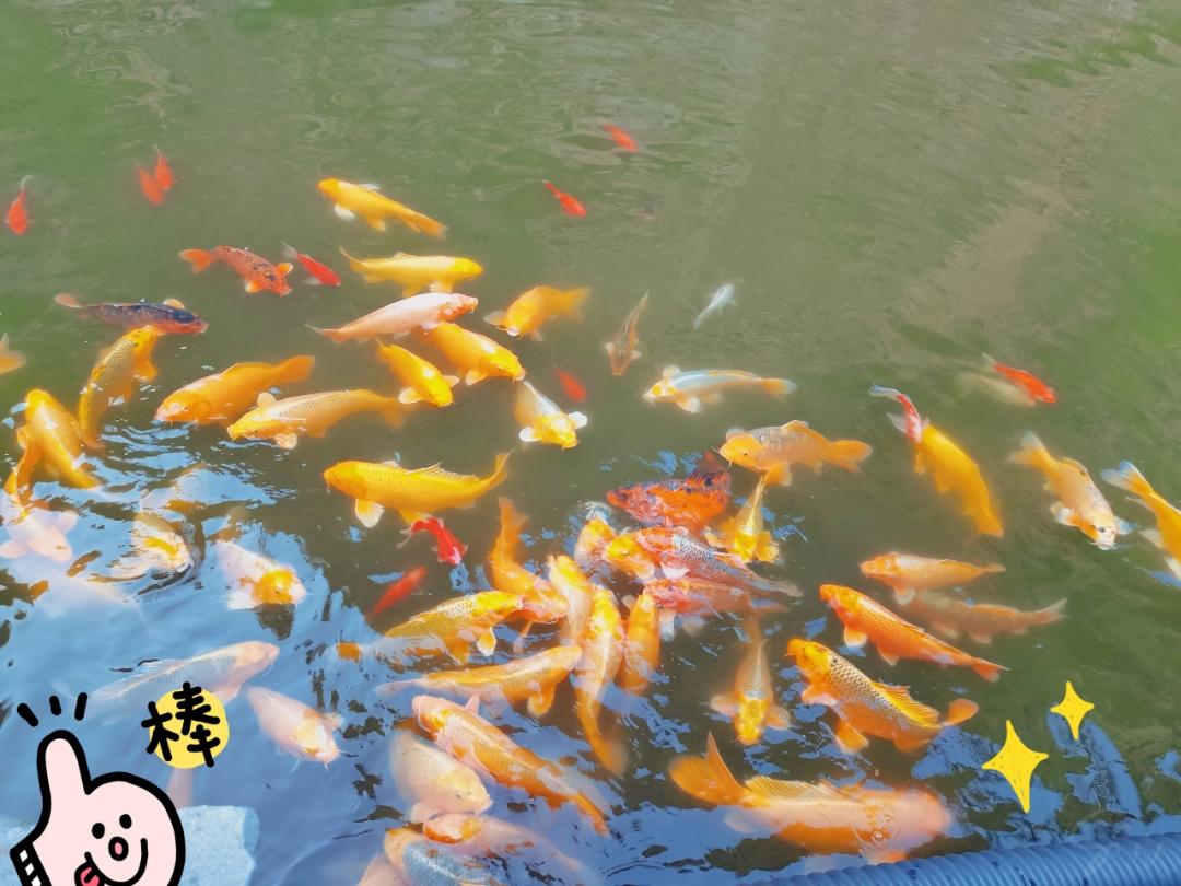 我家吃饭都用盆