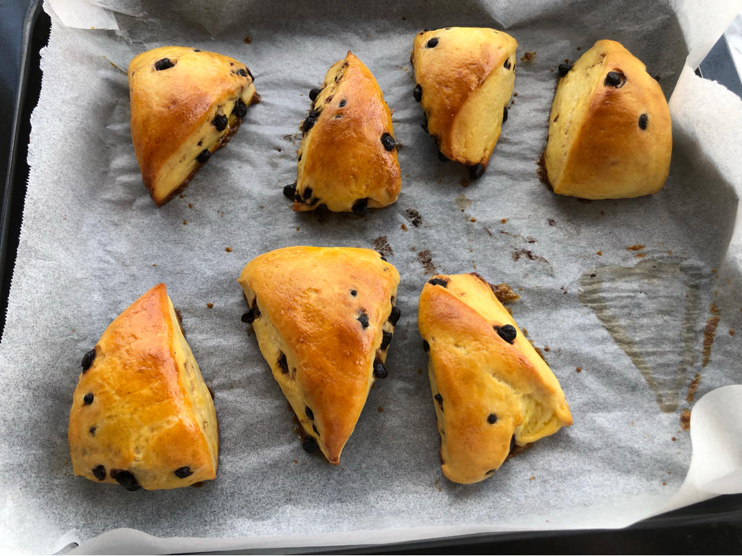 葡萄干司康（酵母版）