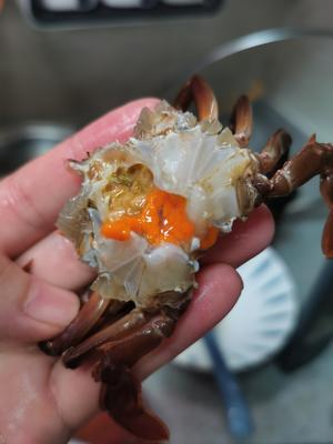 姜葱焗花石蟹的做法 步骤5