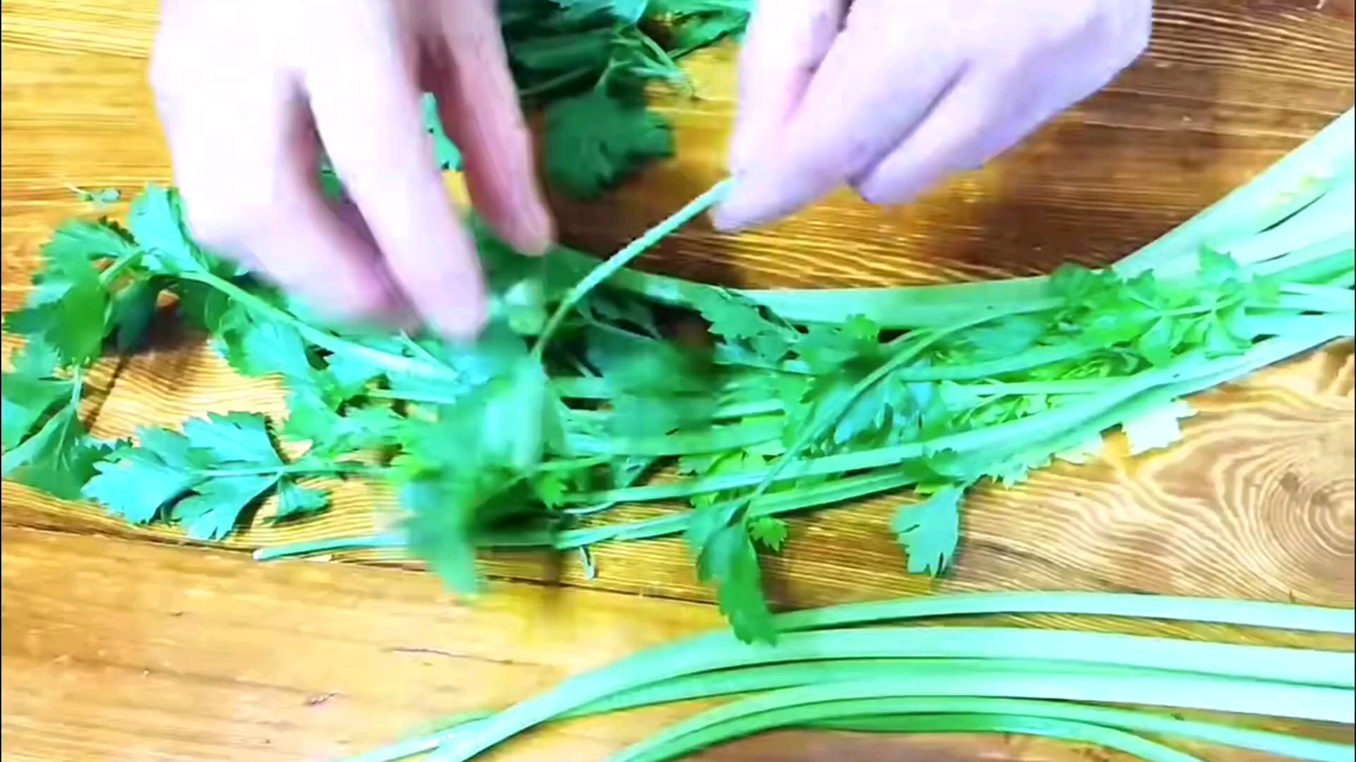 饺子馆怎么包芹菜猪肉馅水饺？