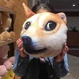 辣眼睛兔子狗