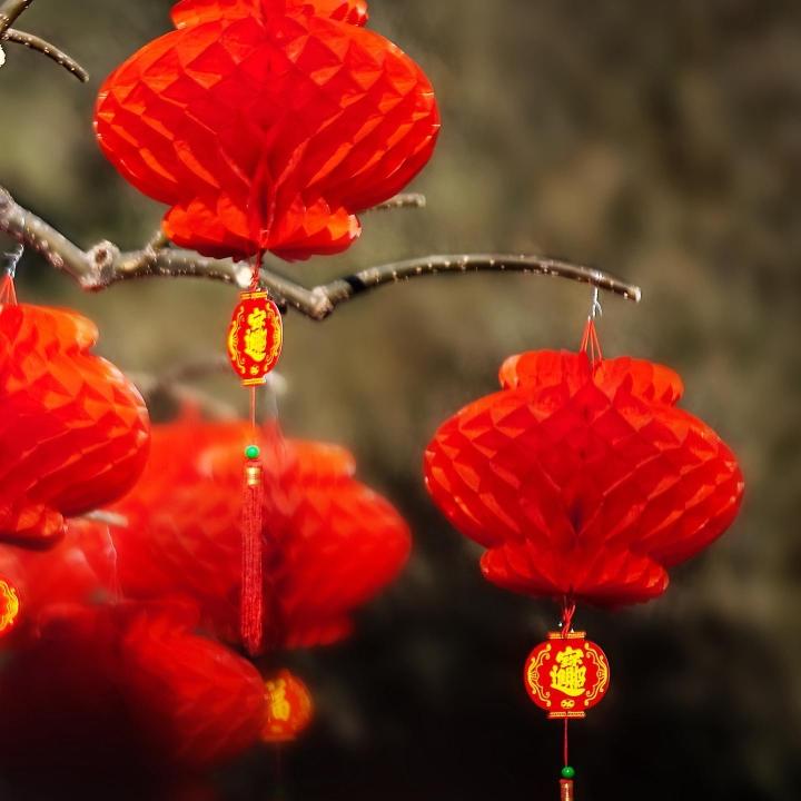 为食苏
