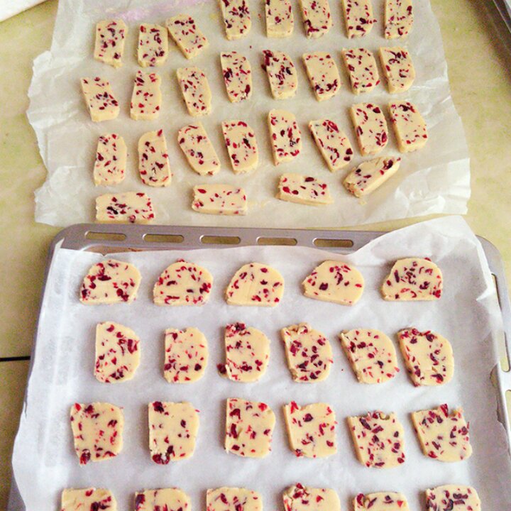 《Tinrry+》蔓越莓曲奇（超简单曲奇配方）