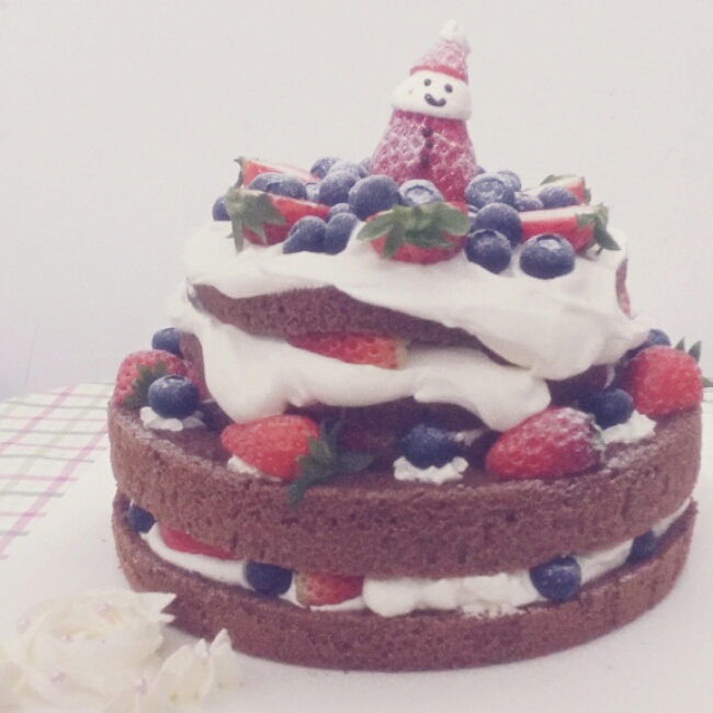 圣诞呆萌裸蛋糕