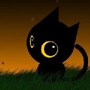 漂流猫猫