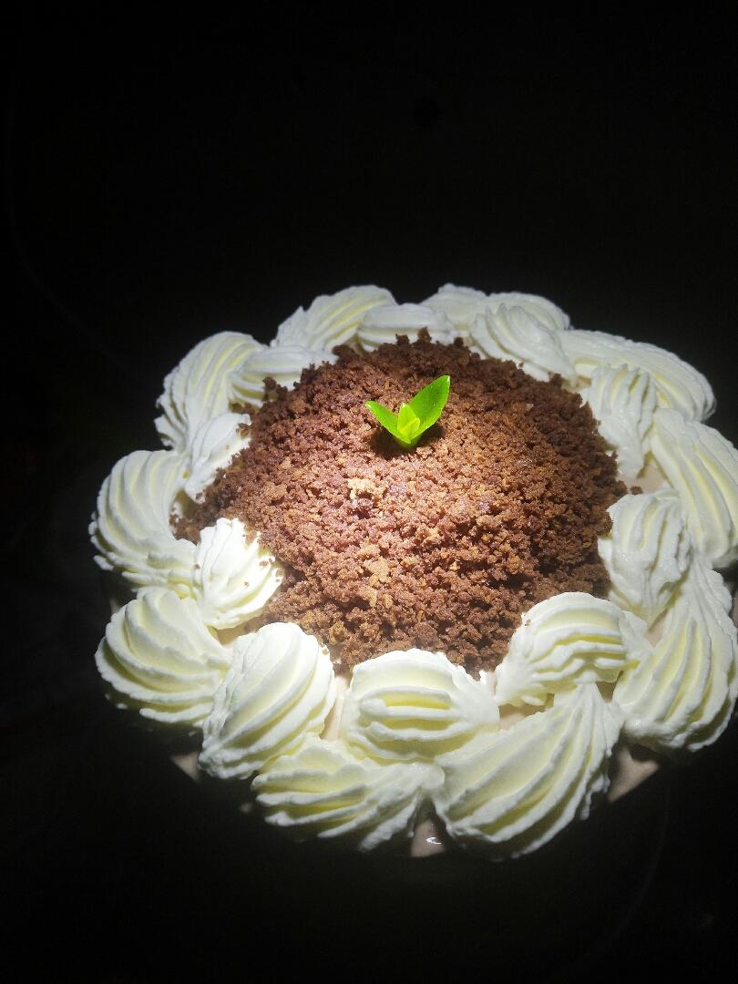 盐味摩卡奶油蛋糕/喜欢海盐摩卡的, 不妨一试。/「海绵及其衍生」烘焙视频蛋糕篇5