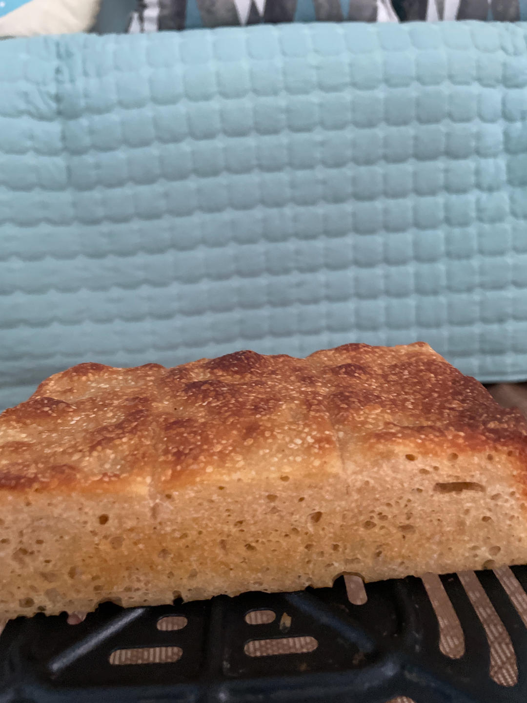 波兰种全麦吐司