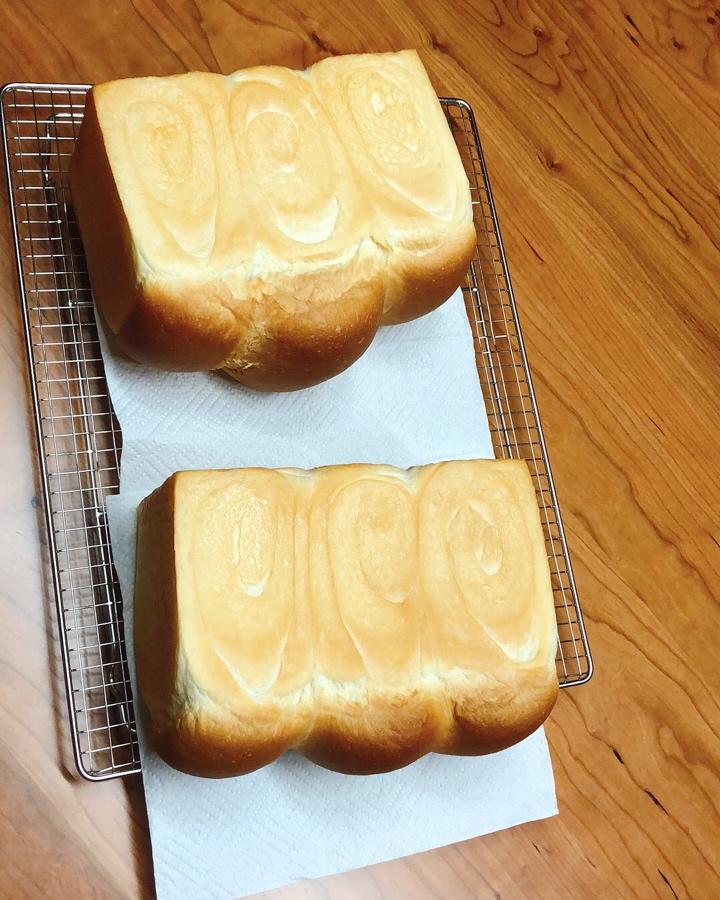 TOAST ( ͡°❥ ͡°)