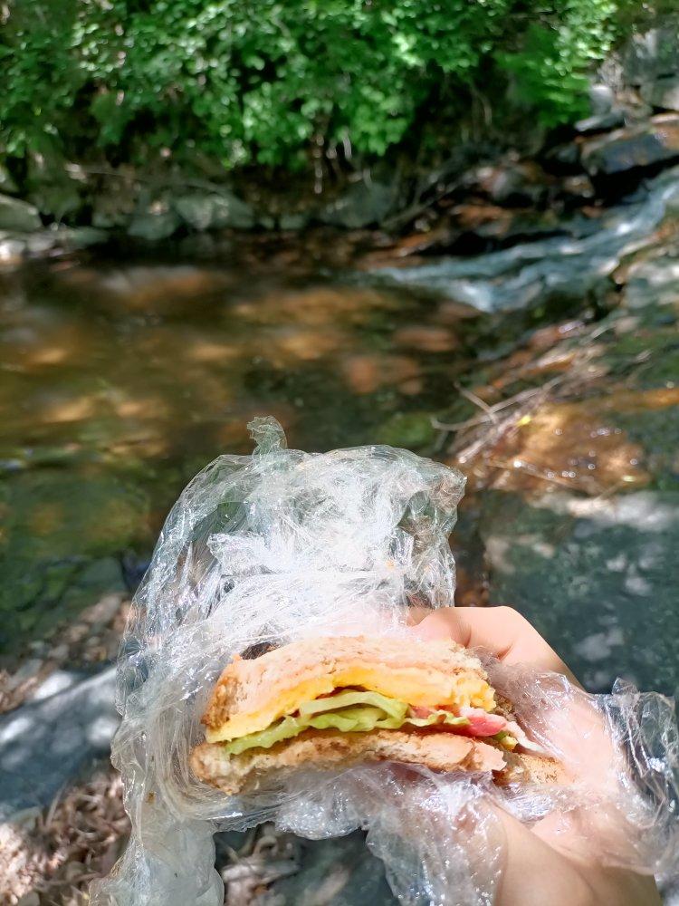 随意任性发挥的早餐三明治