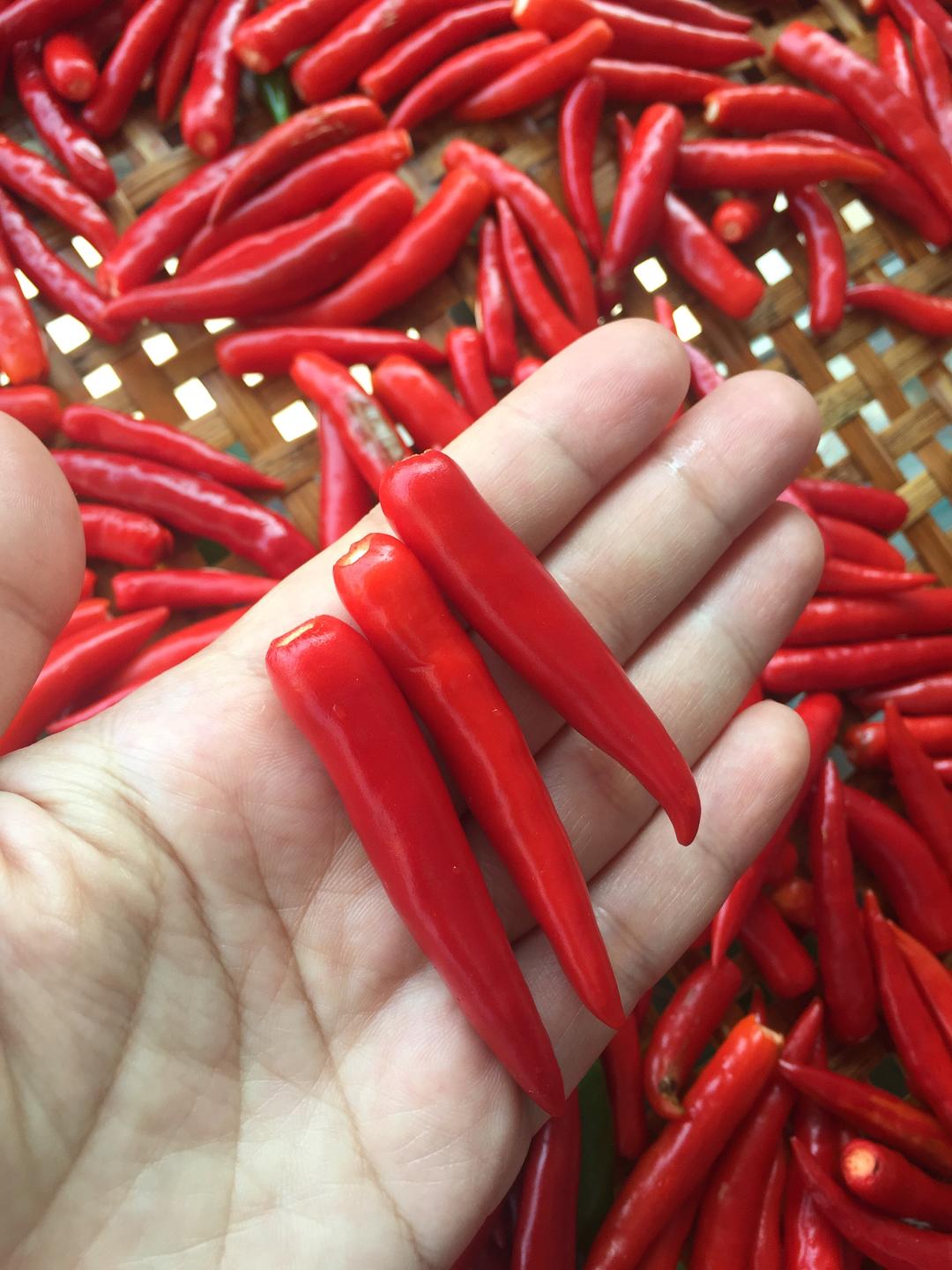 自制蒜蓉辣椒酱