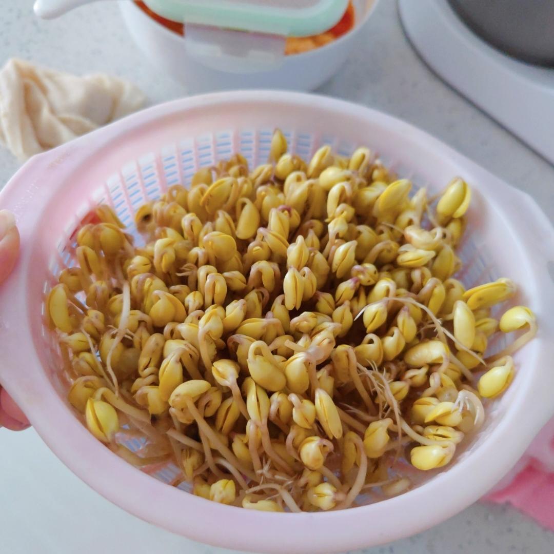 沥水篮发豆芽