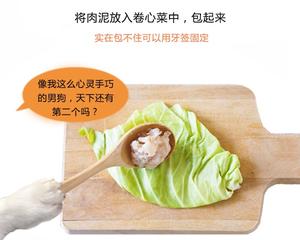 宠小灶-卷心菜肉泥卷的做法 步骤9