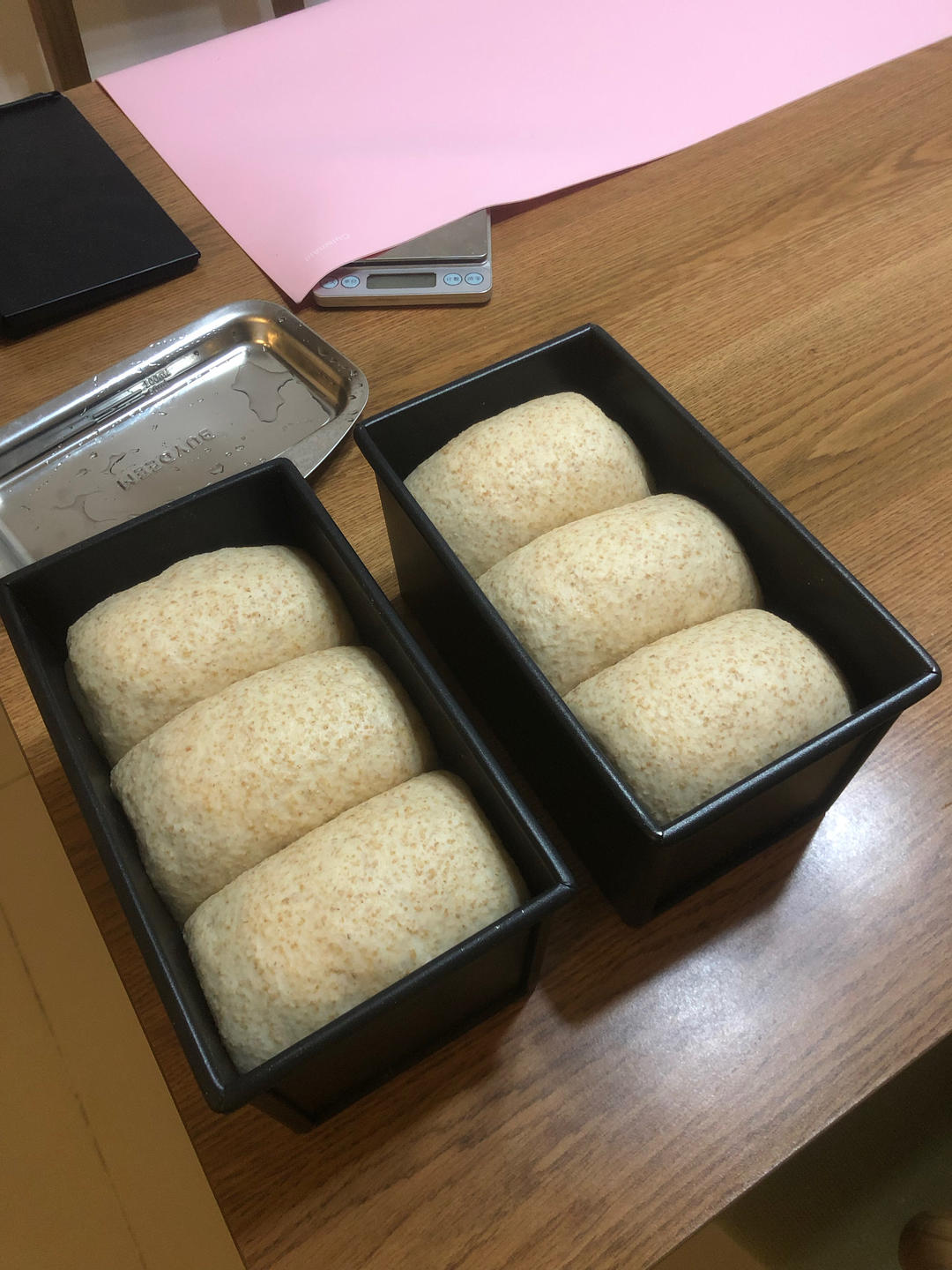 波兰种全麦吐司