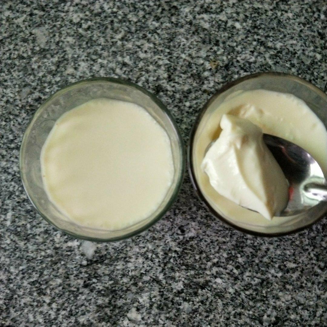 简单易学牛奶鸡蛋布丁