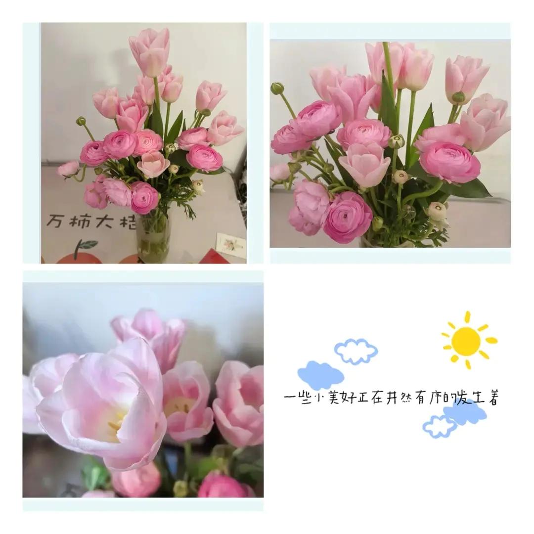 那些小美好