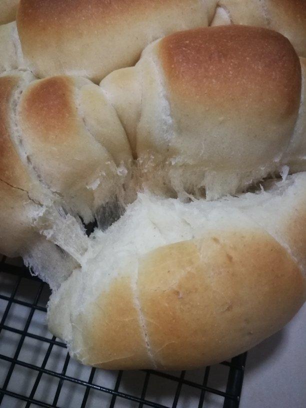 “揪揪家族”之全麦小揪揪