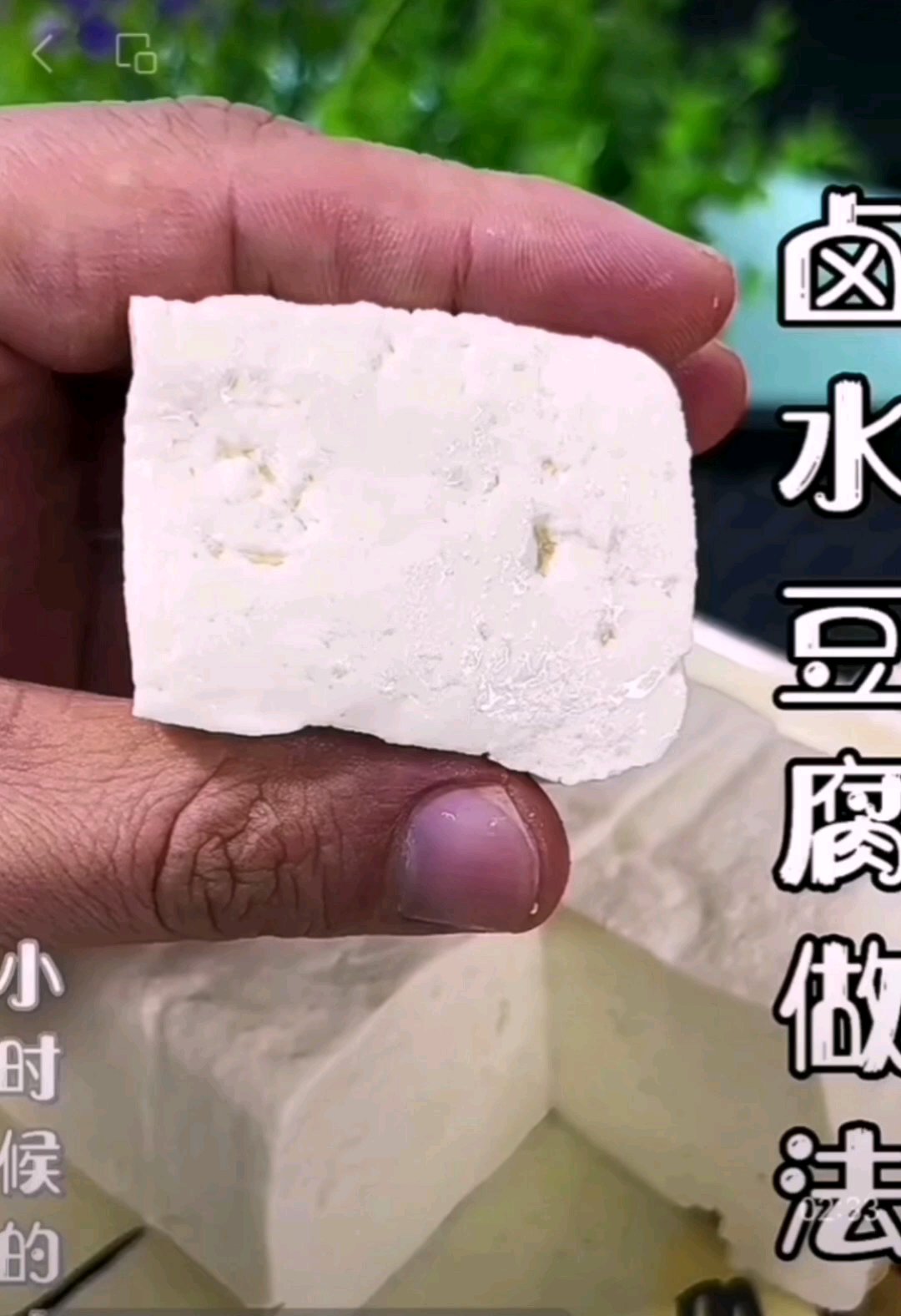 卤水豆腐（250克干豆）