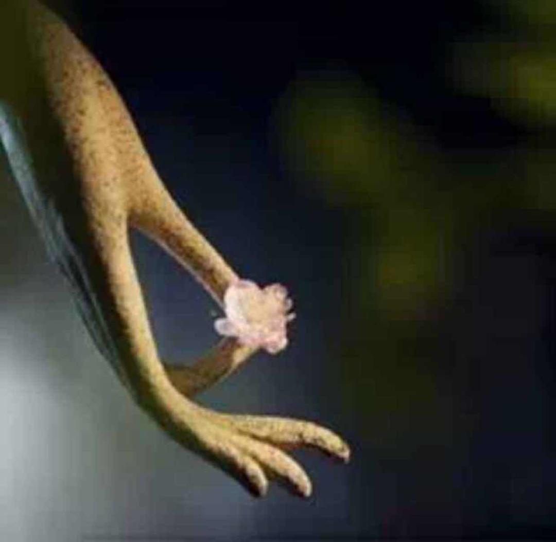 手机用户3006_9ntd