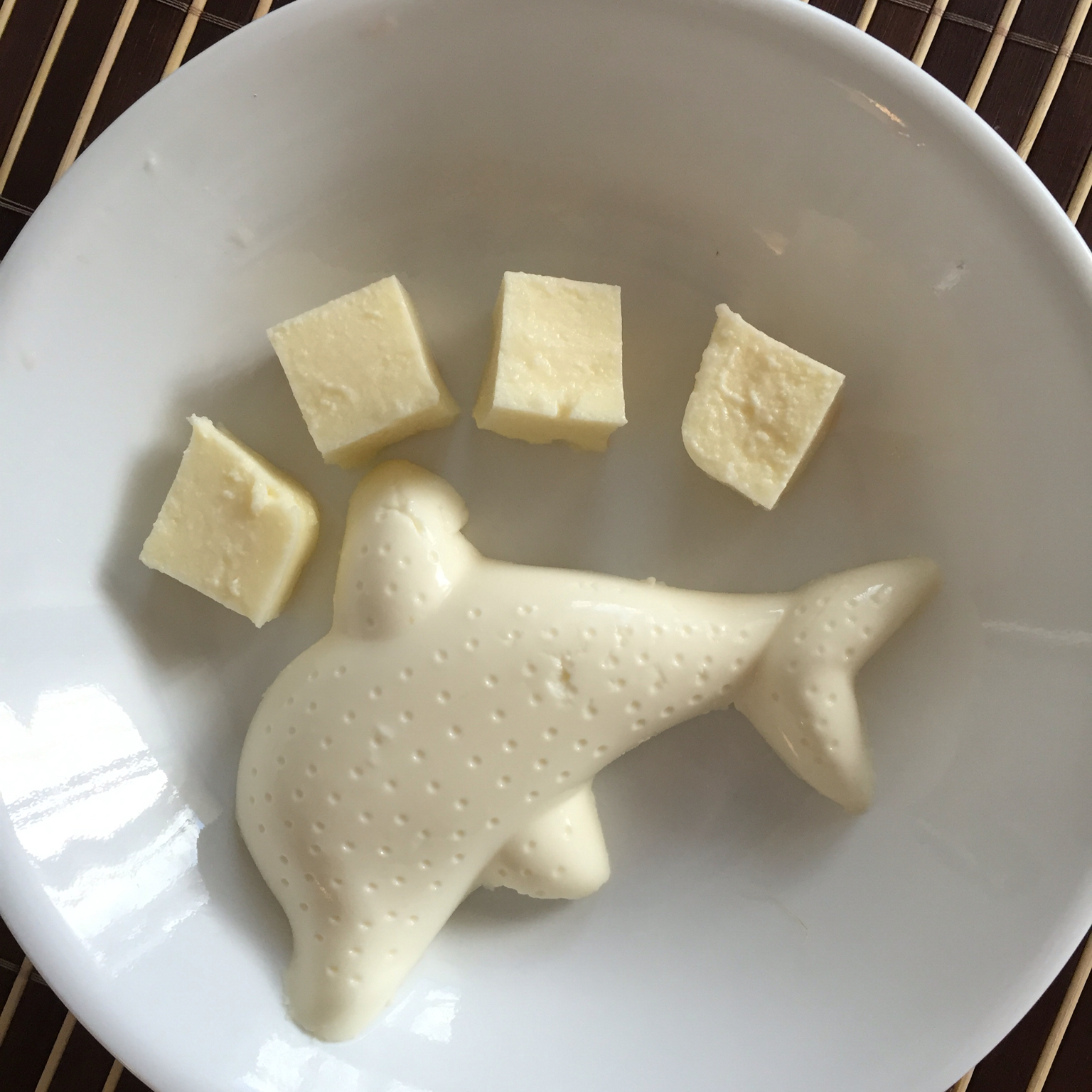 干酪鱼