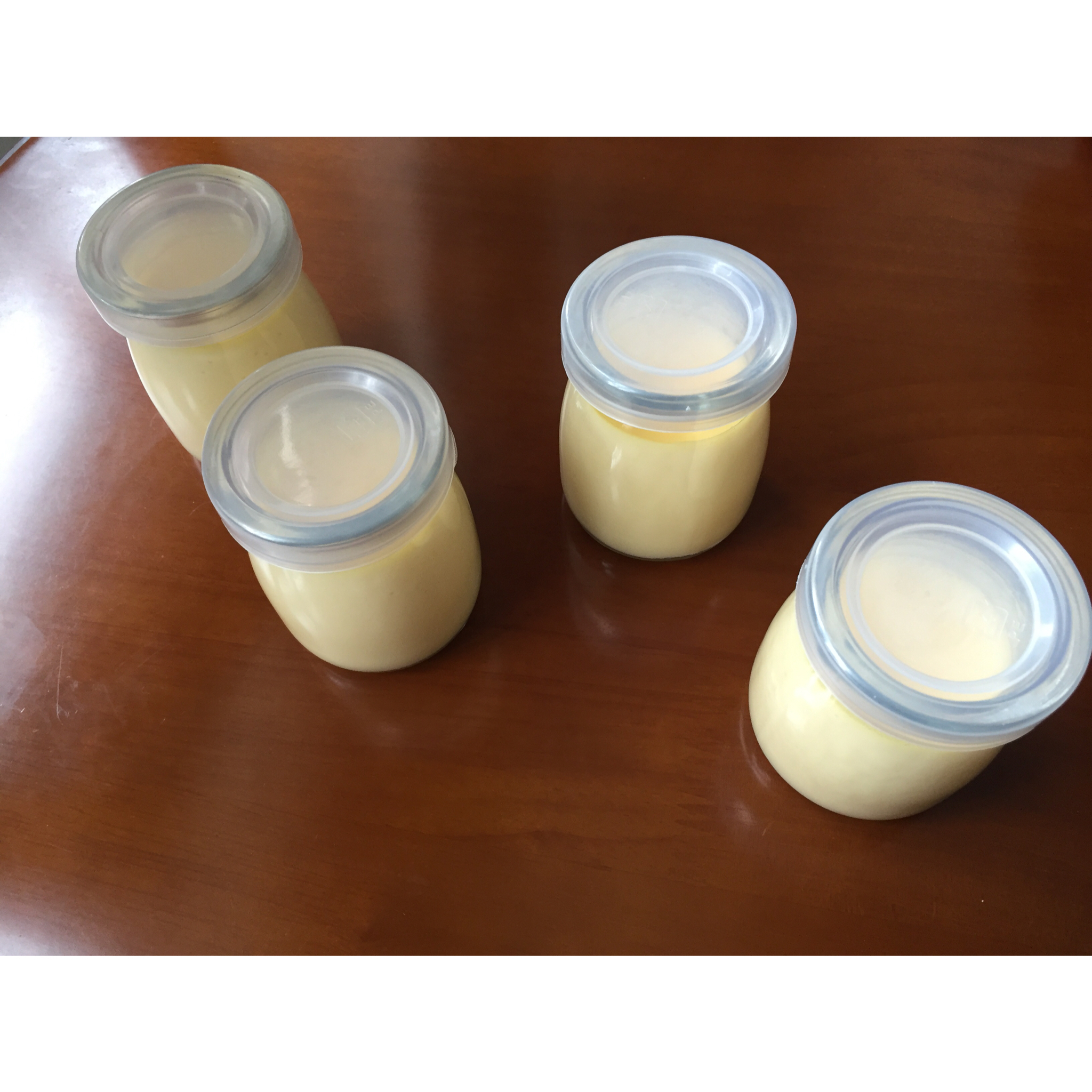 【君酱食谱】0失败 鸡蛋布丁(巨简单版)🍮🍮