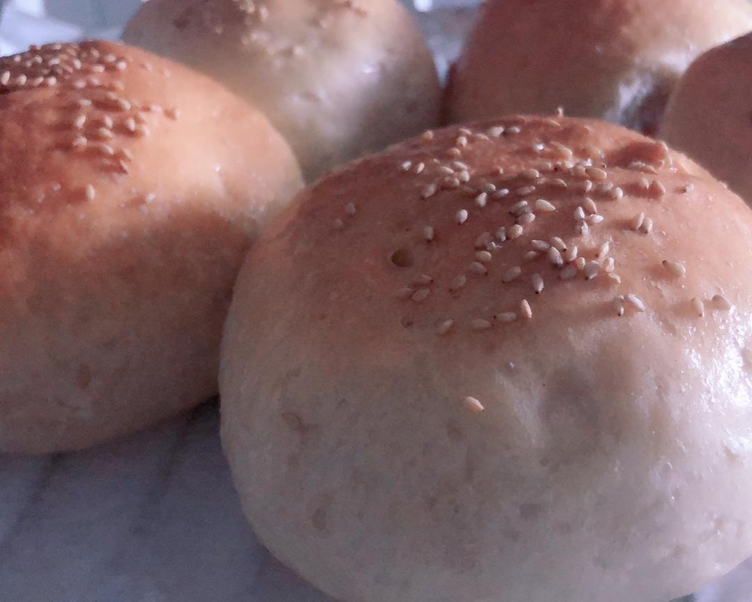 汉堡胚（波兰种）