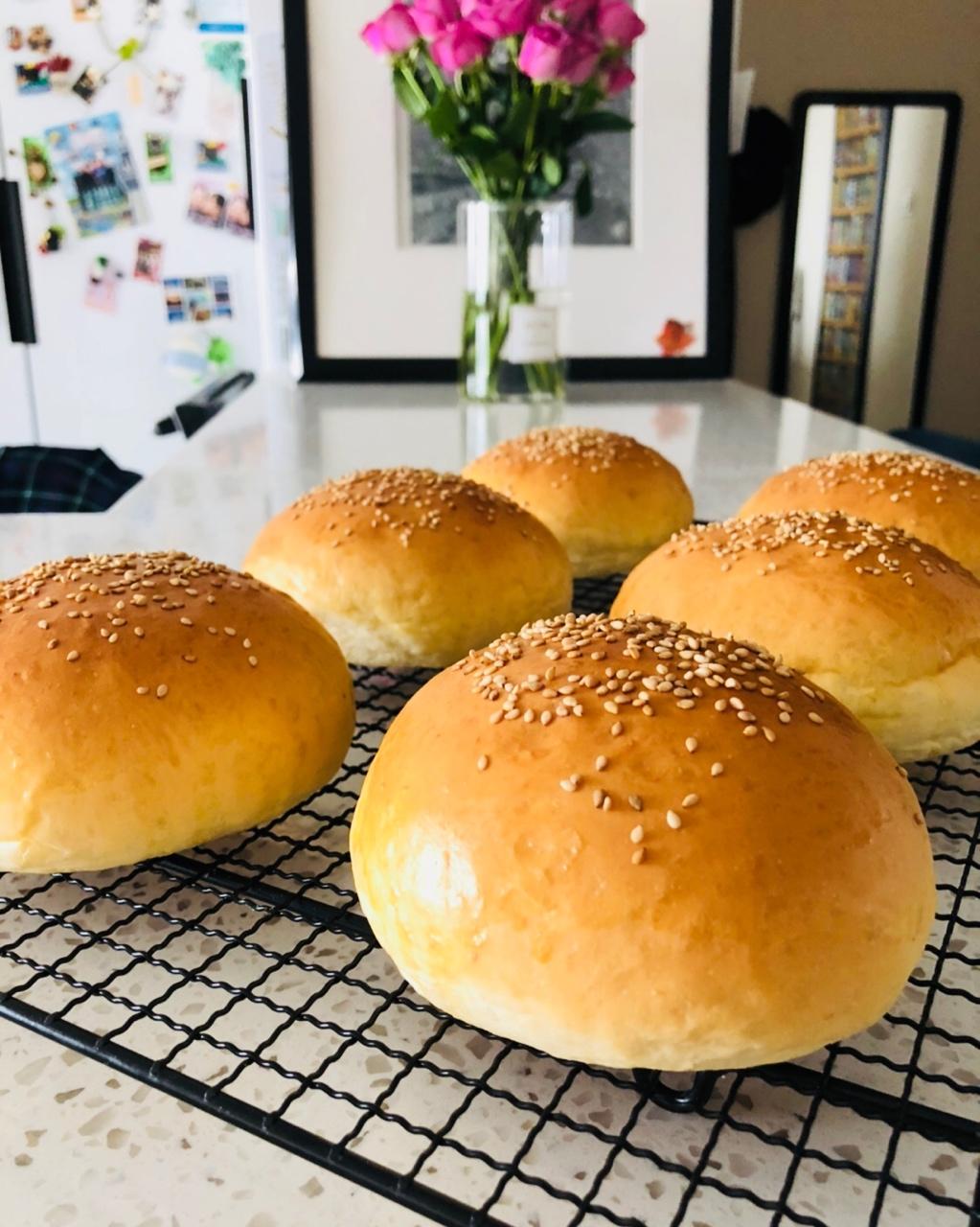 汉堡胚 poolish（波兰种）