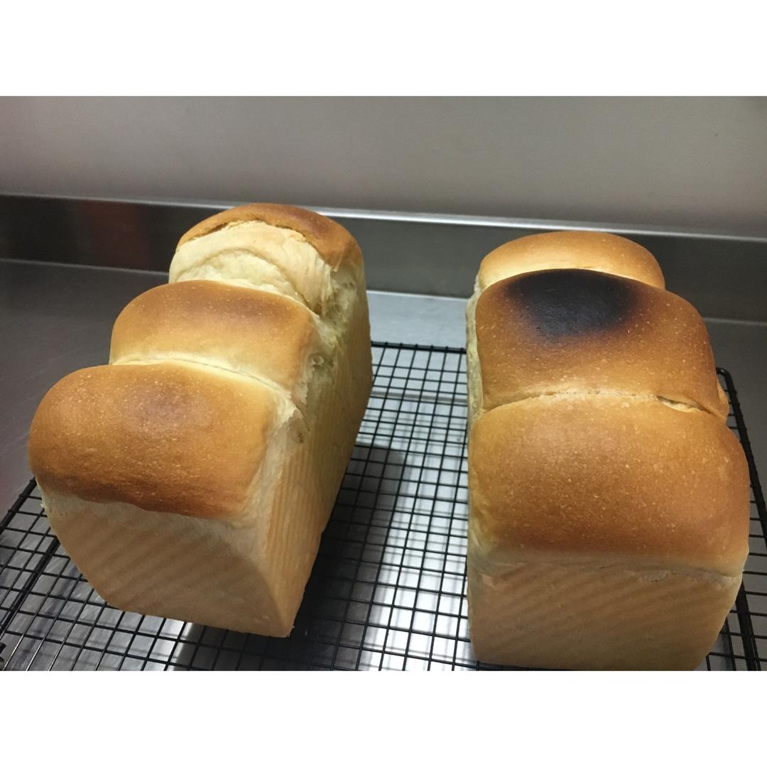 我的100个吐司练习