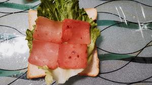 营养+美味+简单的三明治🥪的做法 步骤4