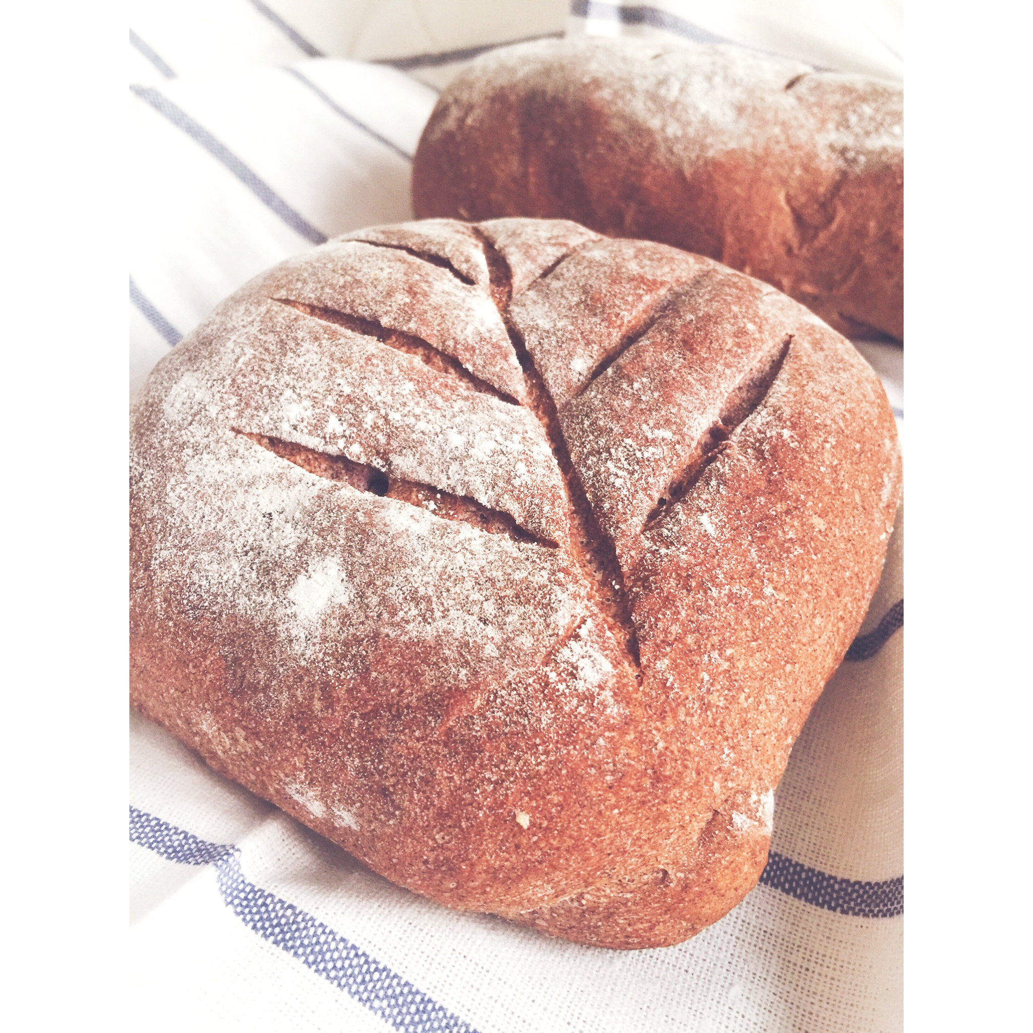 法式栗子乡村面包