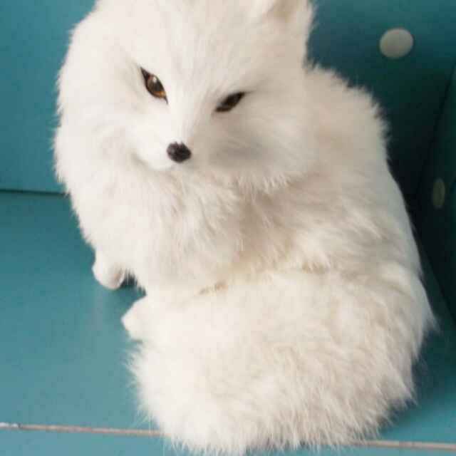 手机用户2872_a02e