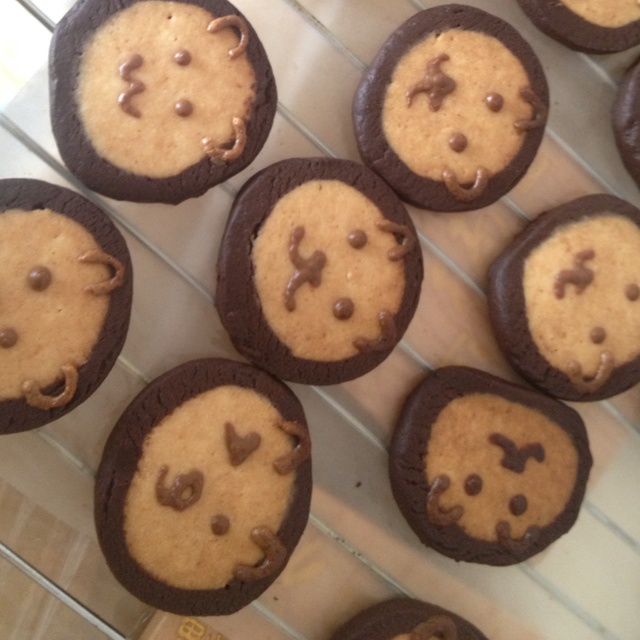 萌哭了的可可狮子饼干