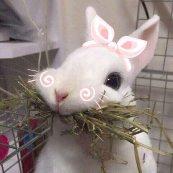 认真学做菜QAQ