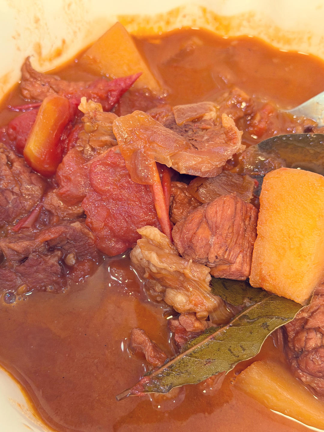 西红柿炖牛腩（牛肉）