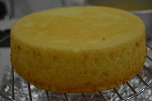 凯伍德楷模分享——超清爽酸奶蛋糕的做法 步骤9