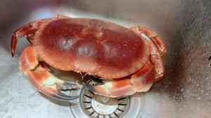 用蟹壳承载的美味——芝士焗蟹肉risotto/炒饭的做法 步骤1