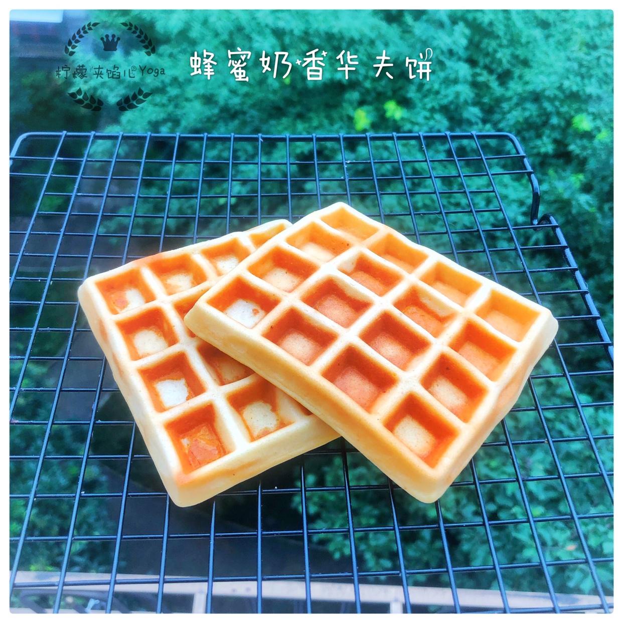 【超快手五分钟早餐系列七】蜂蜜奶香华夫饼的做法 步骤6