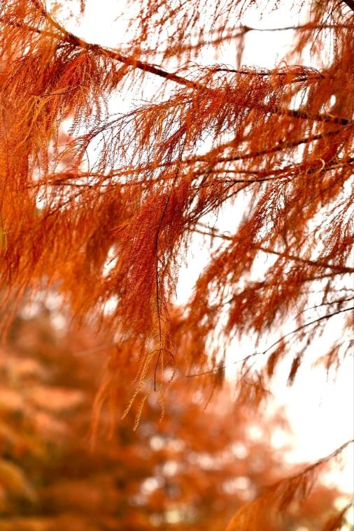 手机用户7441_850l