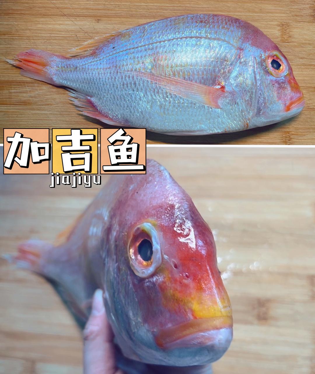 “加吉鱼” 学名真鲷