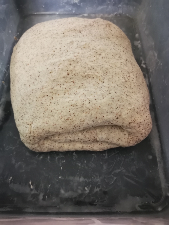 黑麦粉“双花”型欧包的做法 步骤12