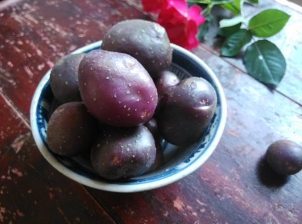 紫皮土豆泥的做法