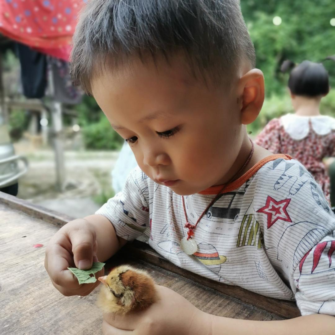 静静静静的皮羔子