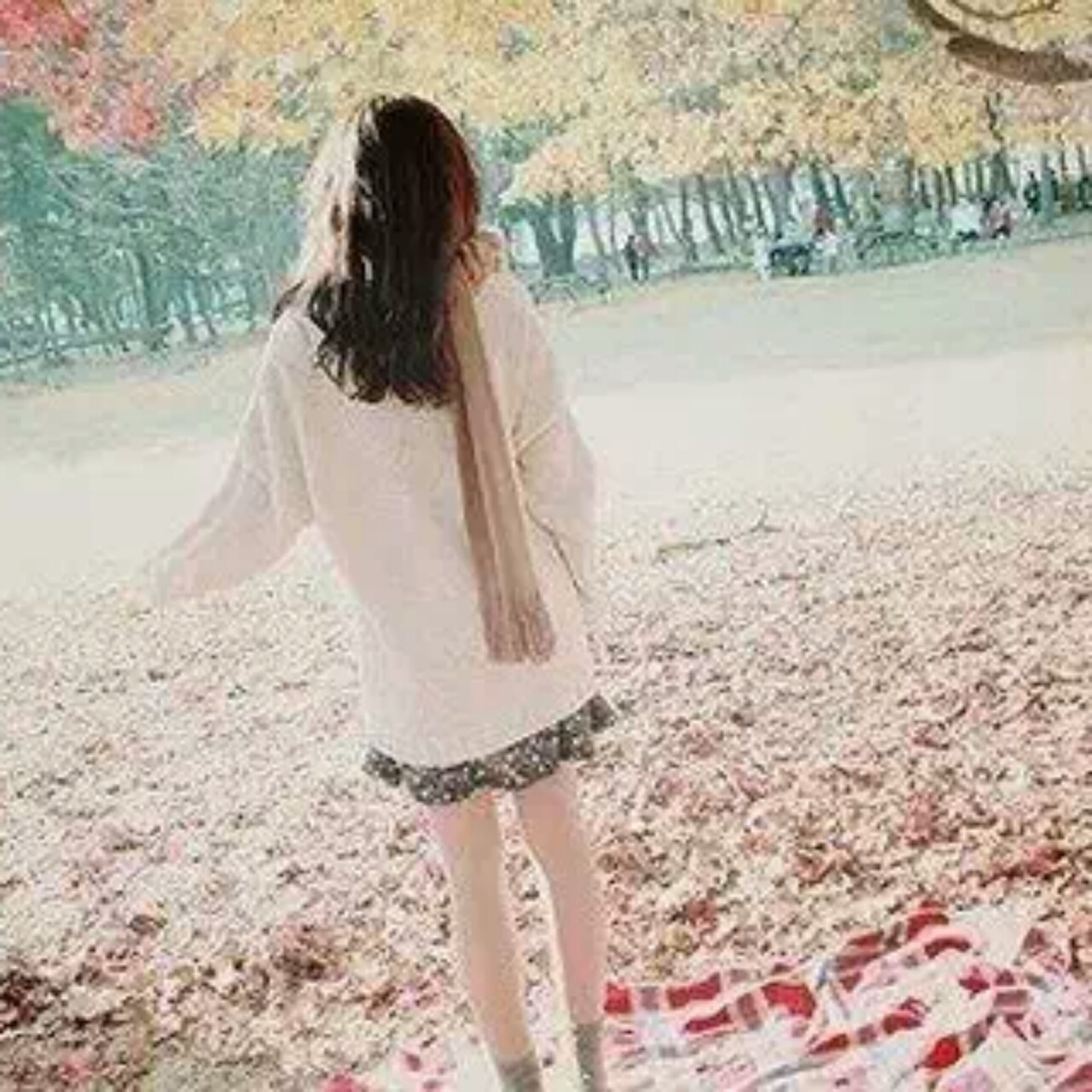 清秋宛月