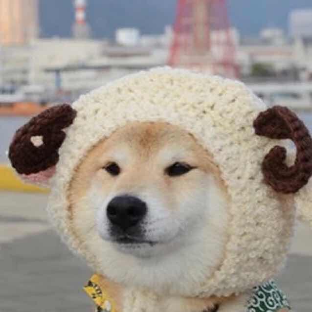 小鹿哥