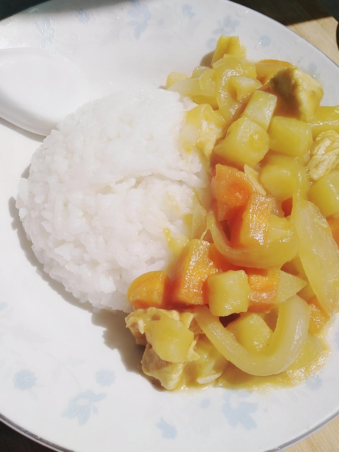 土豆咖喱鸡肉饭