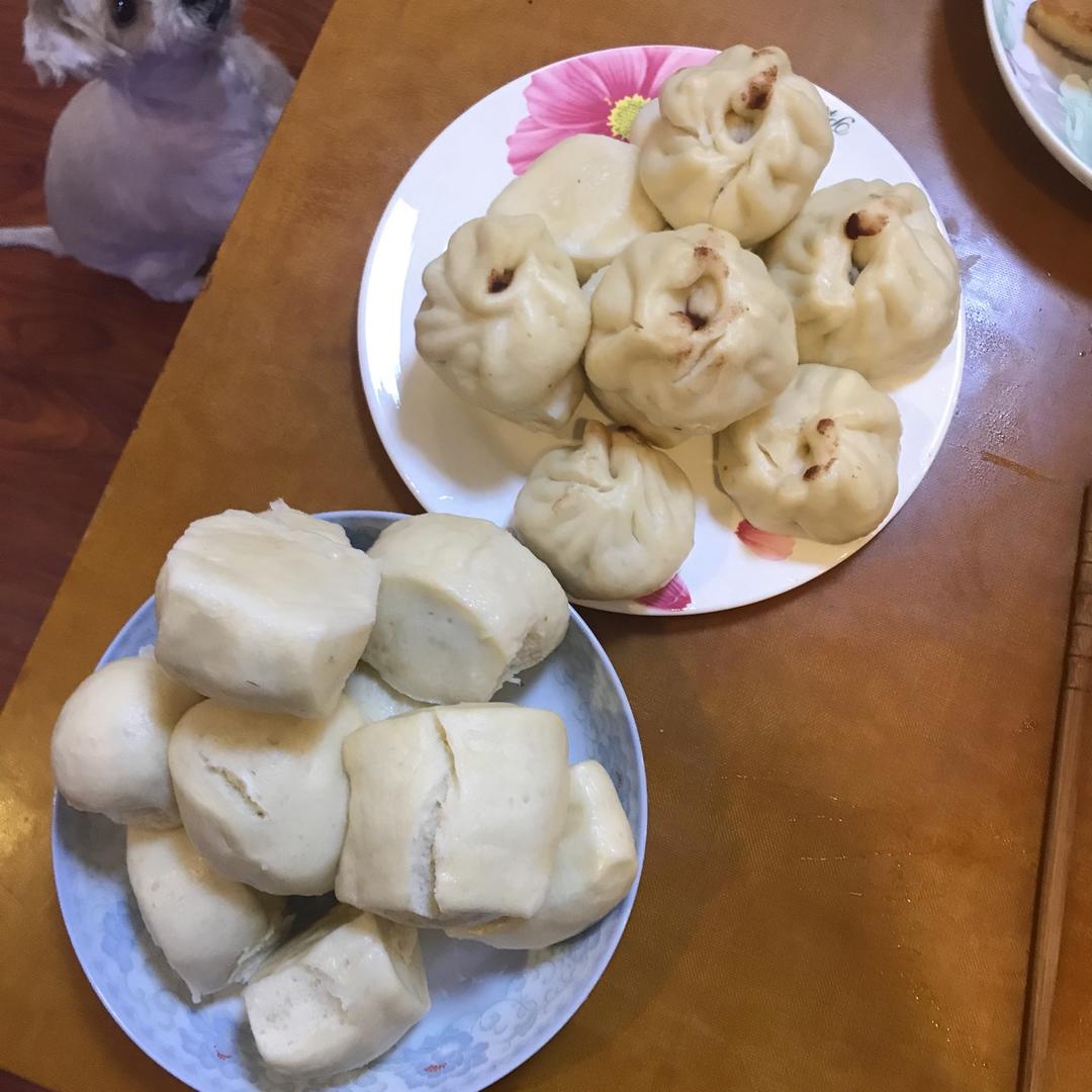 各种各样的天然酵母